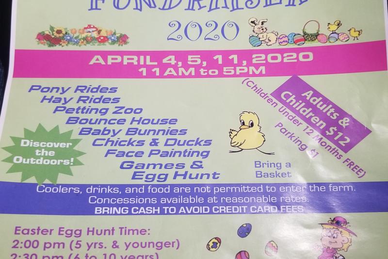 10th Annual Spring Festival Fundraiser