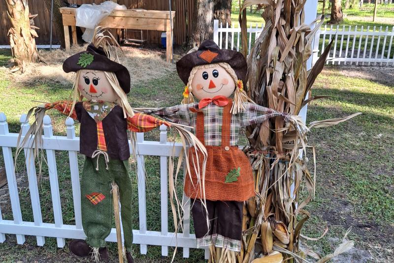 14th annual fall festival fundraiser