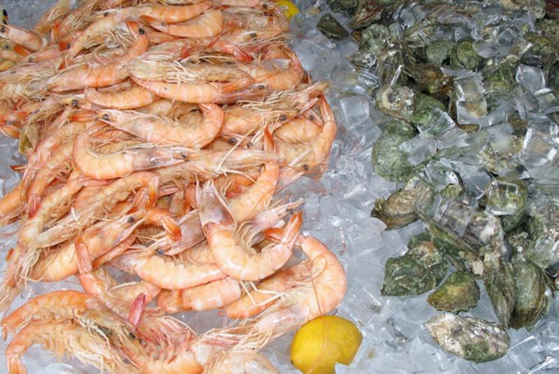 Tampa Bay Seafood & Music Festival