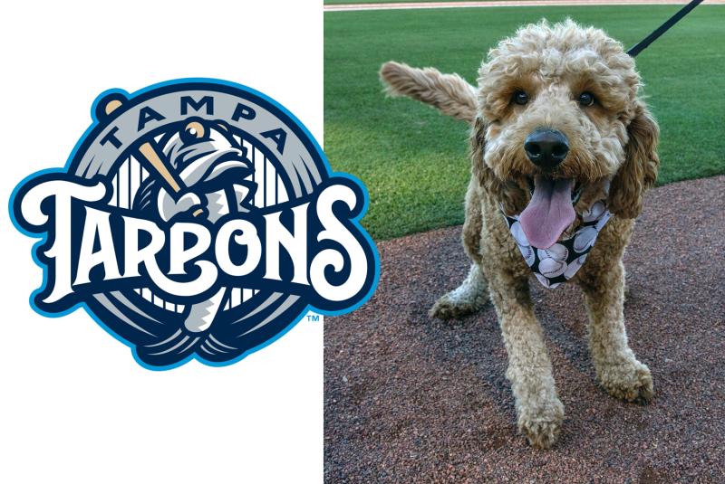 Tampa Tarpons vs. Palm Beach Cardinals