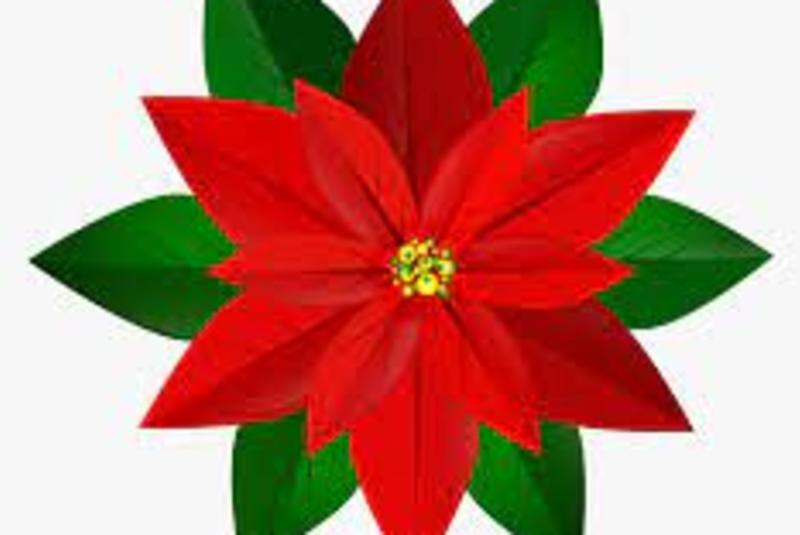 Plant City Garden Club - Fun With Flowers