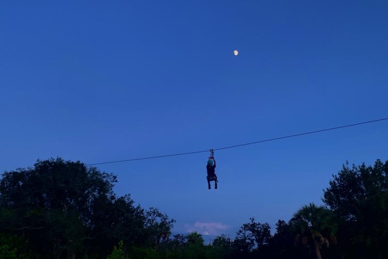 Moonlight Adventures!