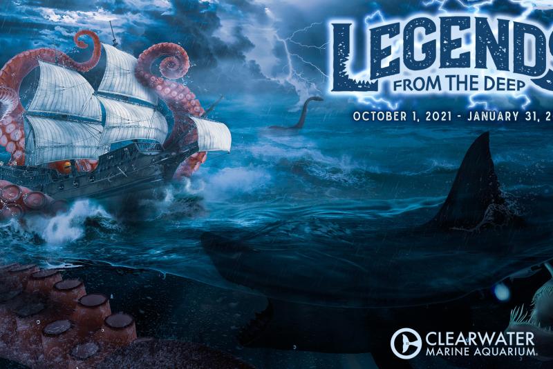 Legends from the Deep at Clearwater Marine Aquarium