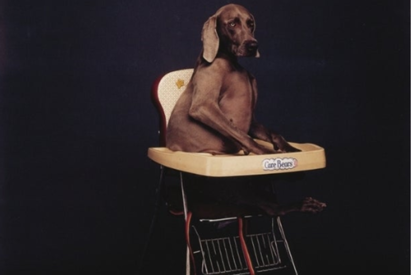 "Tableau and Transformation: Photography from the Permanent Collection."