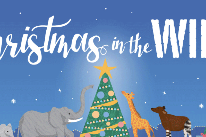Christmas in the Wild