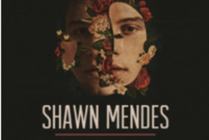 Shawn Mendes: The Tour