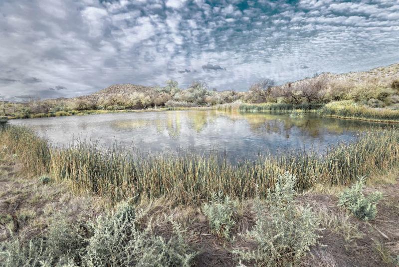 Bremner Benedict – Hidden Waters/ Desert Springs, An Uncertain Future January – April 2021