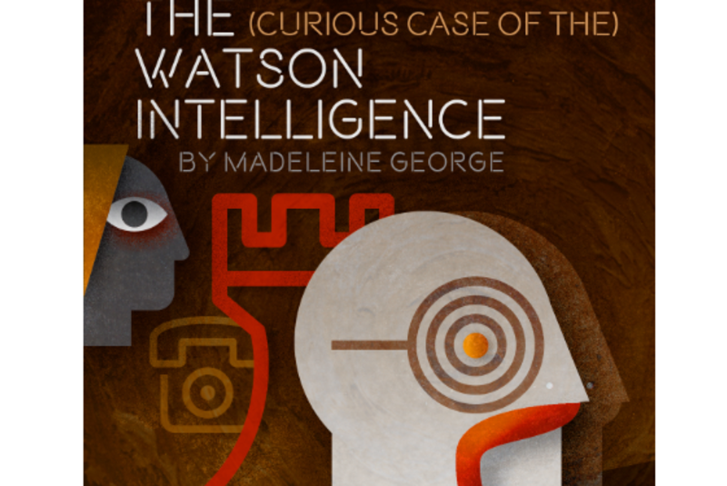 The (Curious Case of the) Watson Intelligence