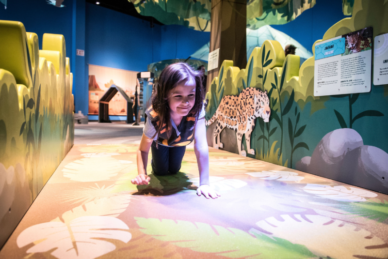 Wild Kratts®: Creature Power®!