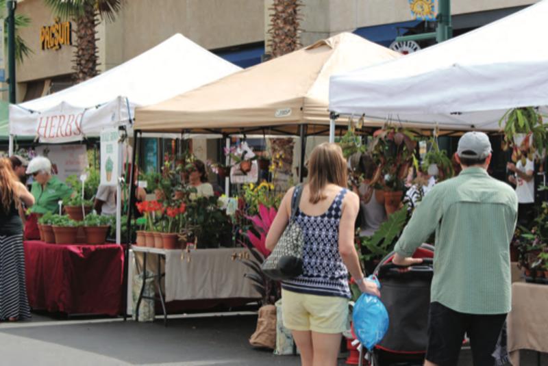 Fresh Market at Wiregrass
