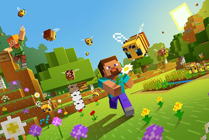 Minecraft Mania