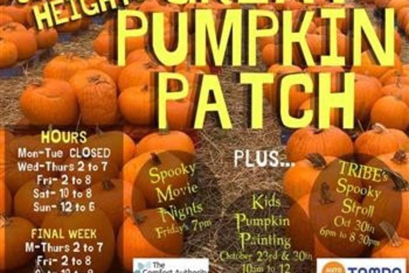 The Seminole Heights Great Pumpkin Patch