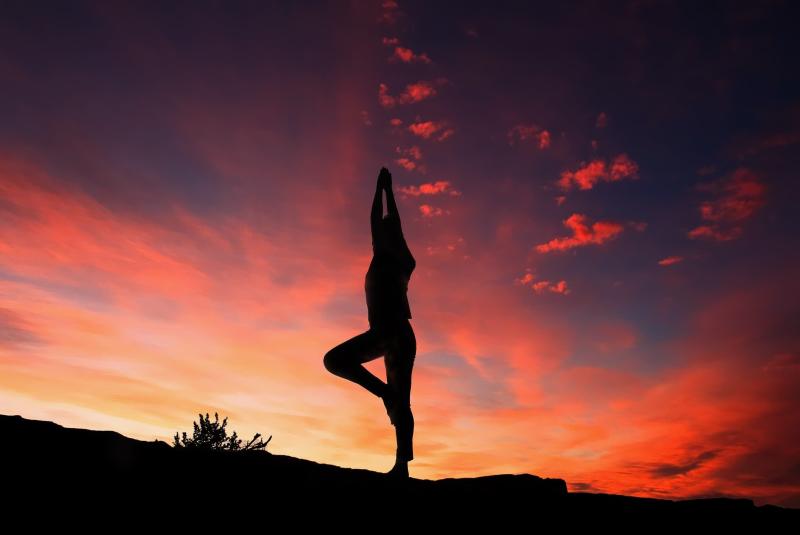 Wellness at the Wharf: Bella Prana Yoga