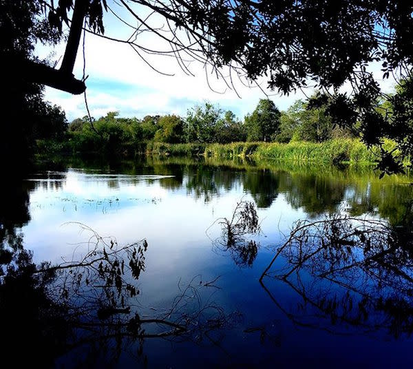 Your Perfect Day In Huntington Beach Central Park