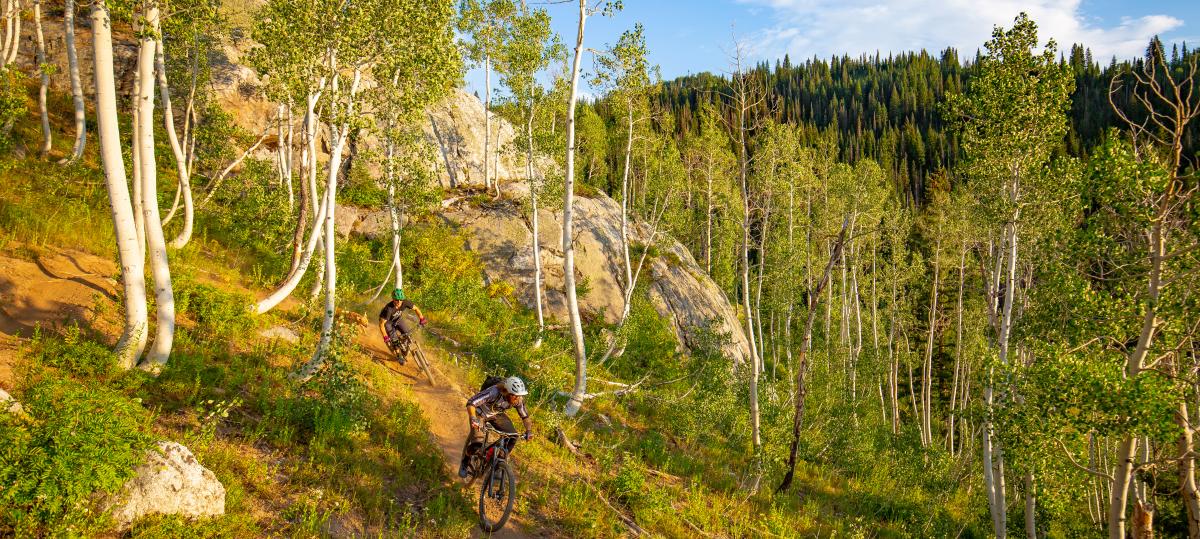 Top Ten Summer Activities in Steamboat Springs: Biking