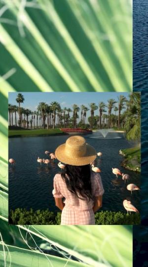 Women watching pink flamingos at the JW Marriott.