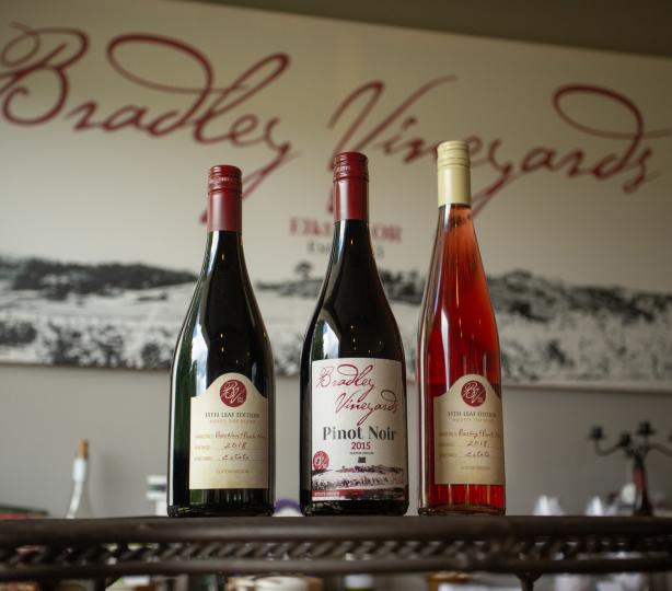 Selection of bottled Pinot Noir Wines