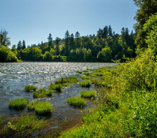 River Forks