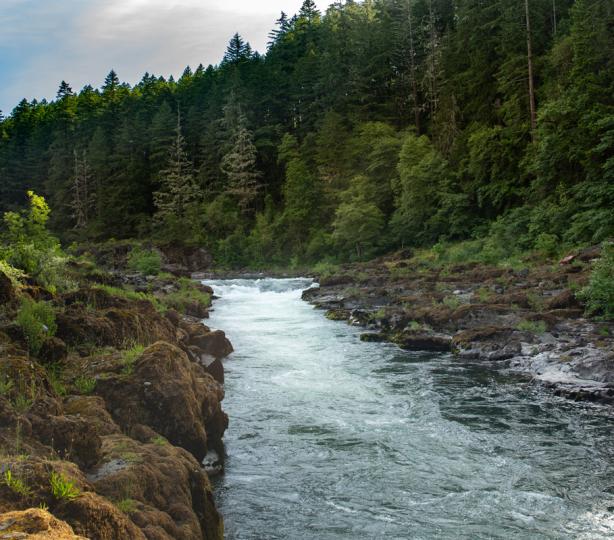 Narrows Wayside