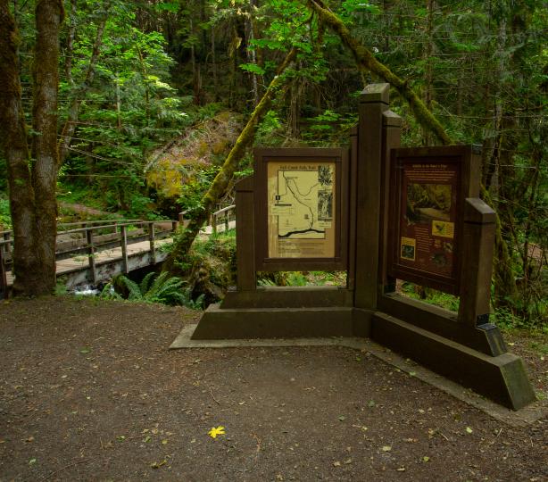 Fall Creek Falls Trailhead