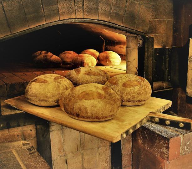 Fresh baked bread being pulled out of a brick oven.