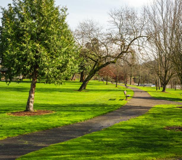 Stewart Park