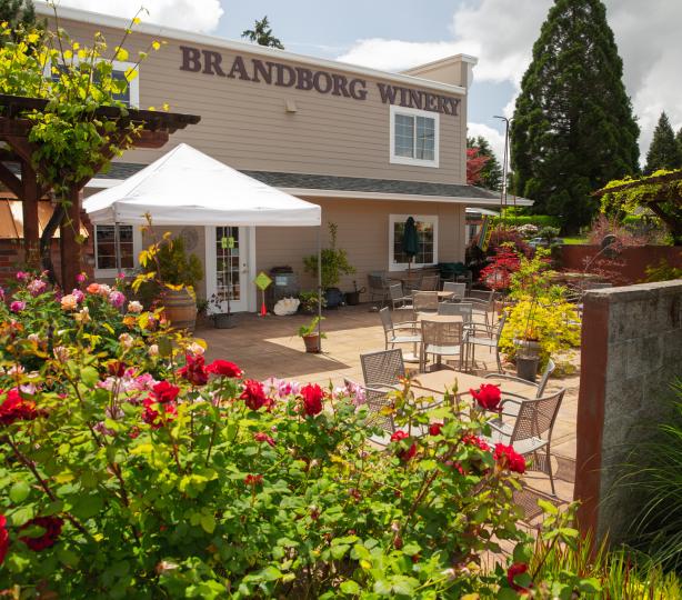 Outdoor garden seating area