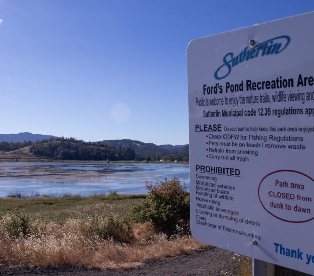 Ford's Pond