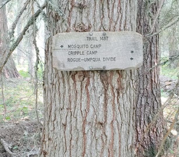 Divide deals camp trail