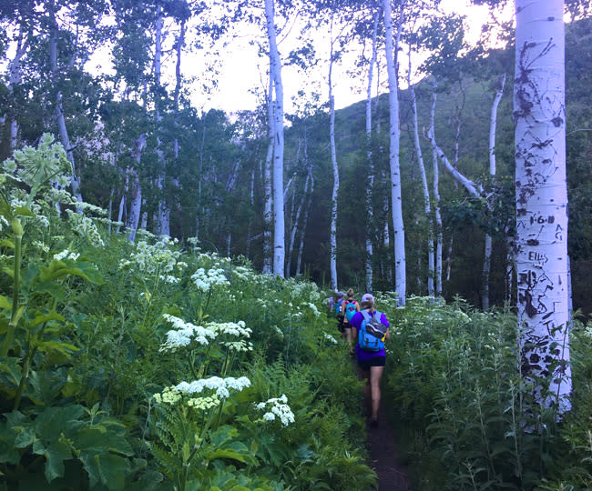 Big Springs Hike in Provo Canyon