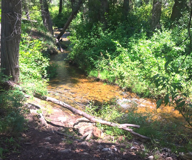 Wardsworth Creek Trail in Hobble Creek Canyon