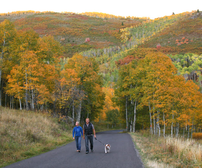 Nebo Loop Fall Walk