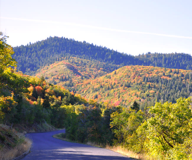 Nebo Loop Road