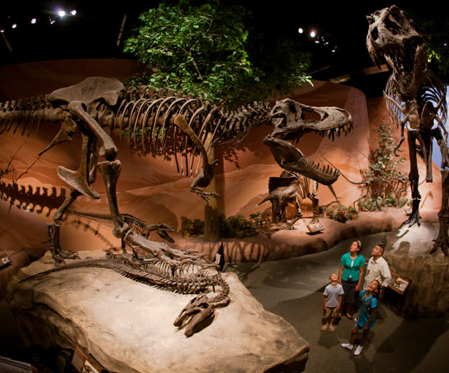 Museum of Ancient Life at Thanksgiving Point