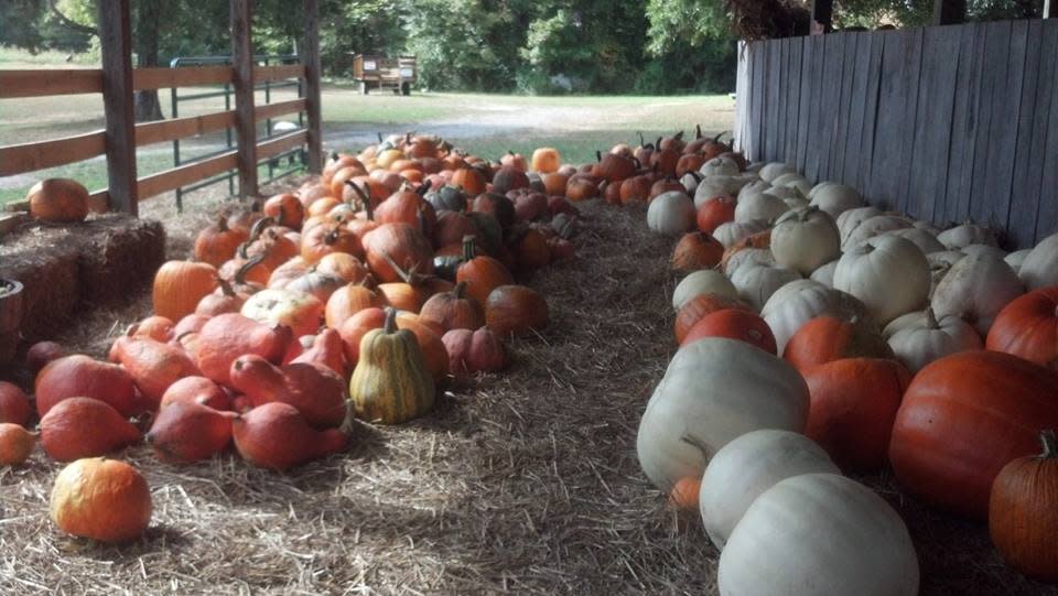 McGee Farm Pumpkins