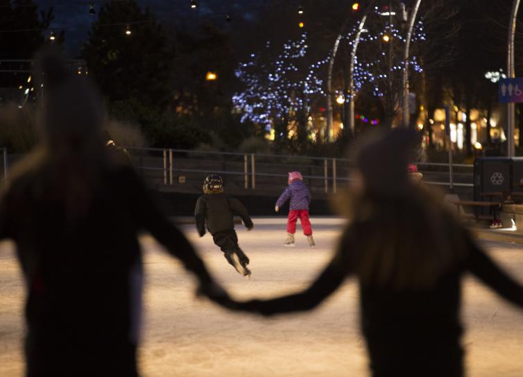 Stuart Park Ice Skating Holding Hands