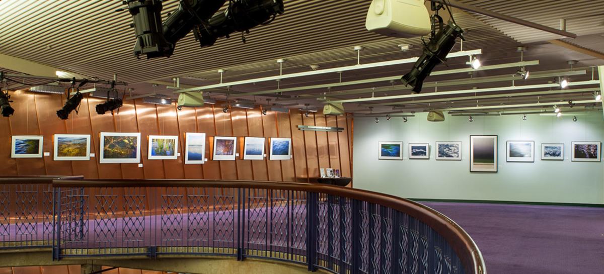 Insiders' Guide to the Hylton Performing Arts Center Visit Prince