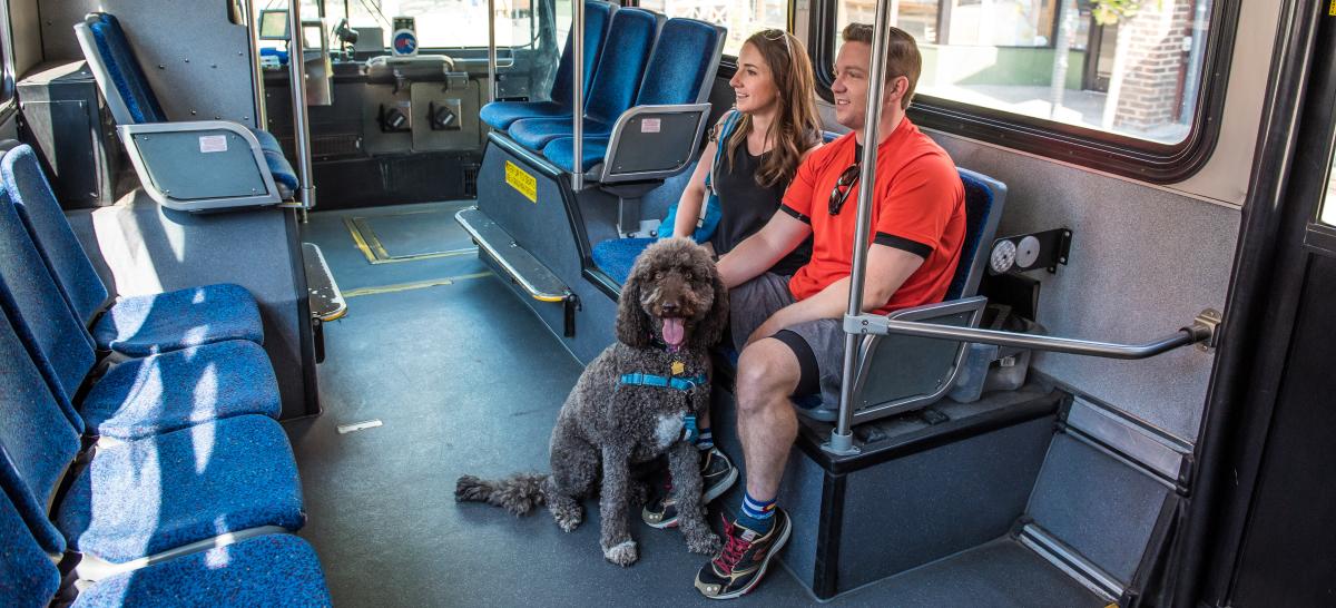 Man and woman with their dog riding the Park to Park Shuttle