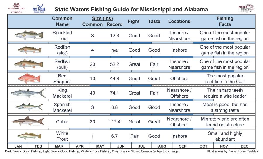 State Waters Fishing Guide for Mississippi and Alabama