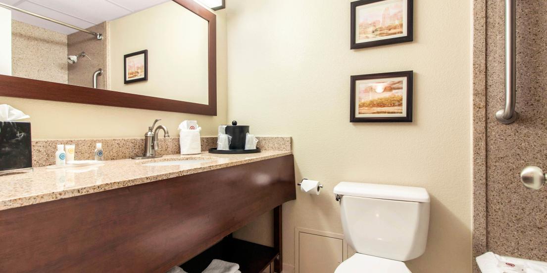 Comfort Inn Suites Grover Omaha Ne 68106
