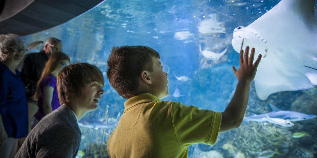 Omaha S Henry Doorly Zoo And Aquarium Omaha Ne 68107