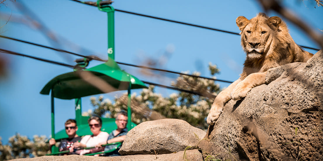 Best Zoos in the US to Visit All Sorts of Animals