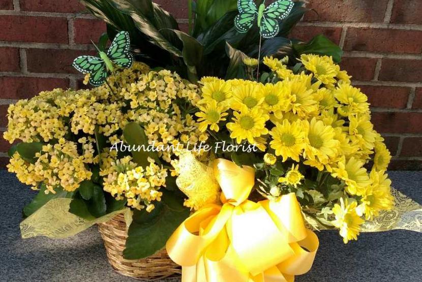Yellow Flowers