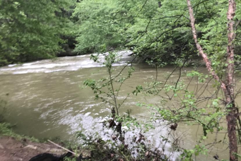 Creek Area