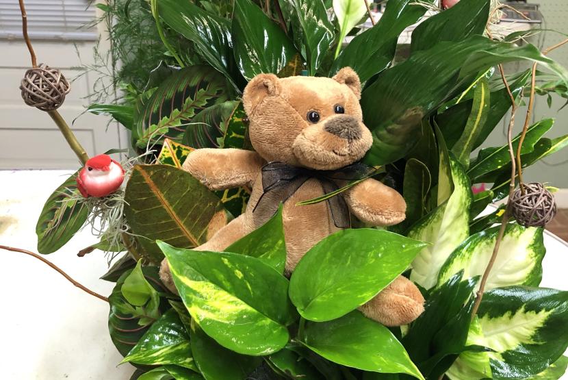 Teddy Bear Arrangement