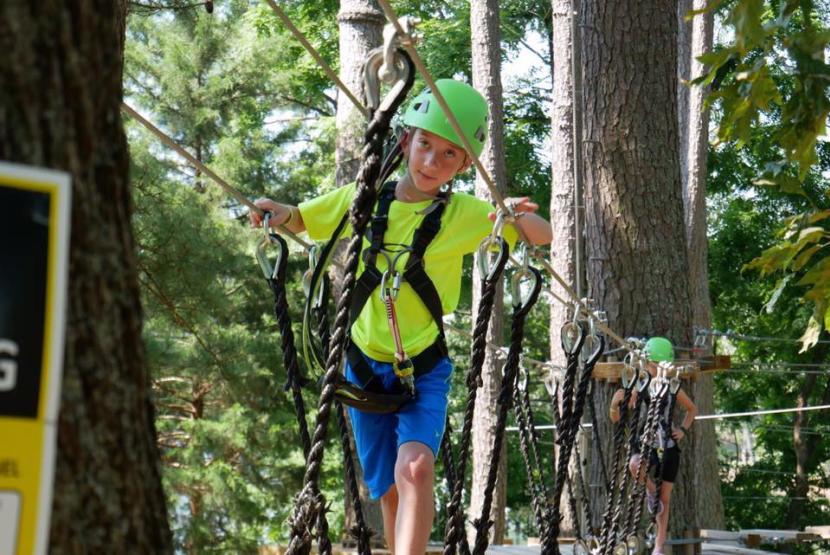 High in the Trees
