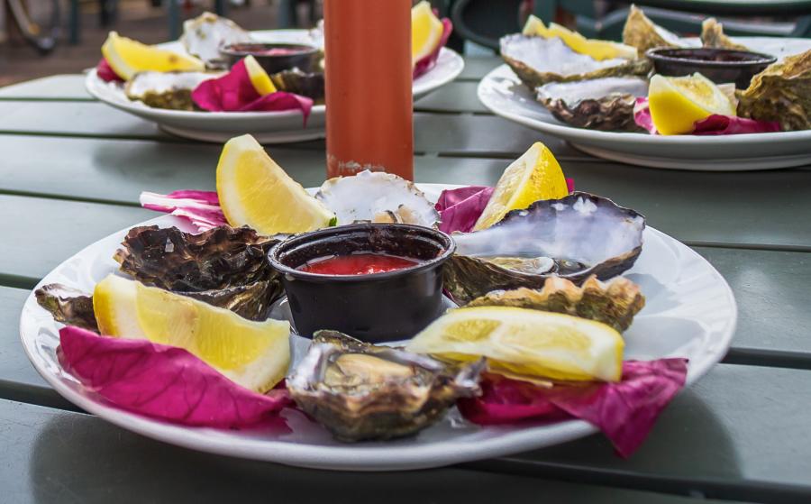 oyster close up
