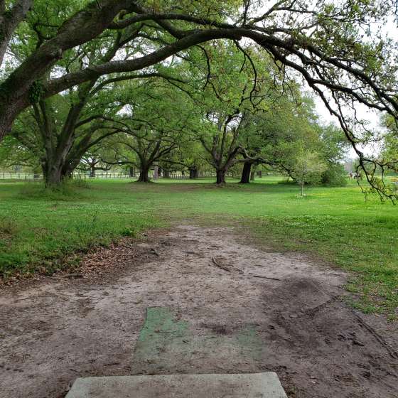 City Park Disc Golf