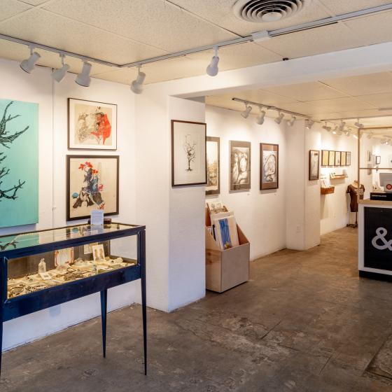 Studio & Gallery