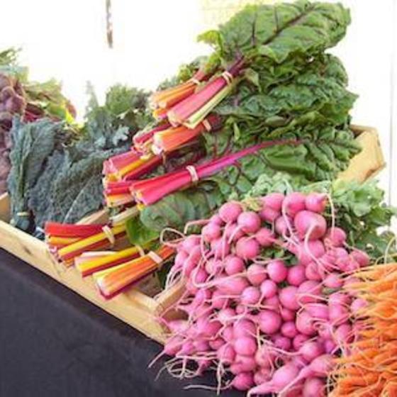 4-durango-farmers-market-durango-colorado-things-to-do
